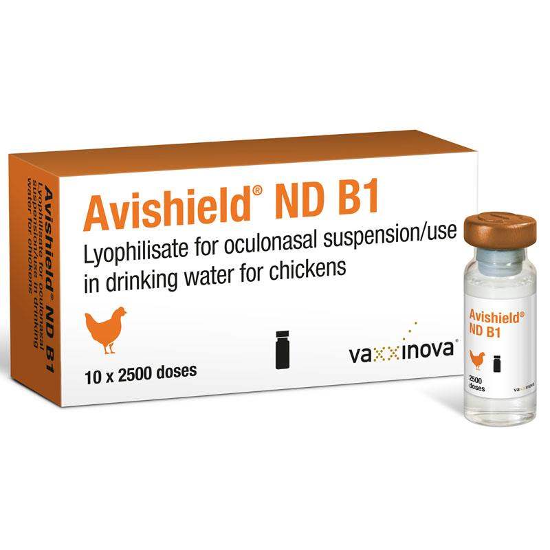 Avishield ND B1